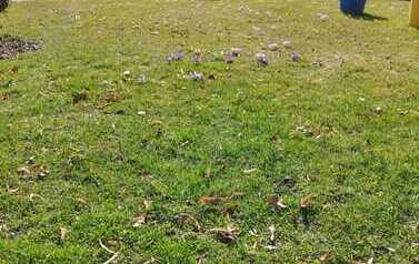 IMG-20260325-WA0022