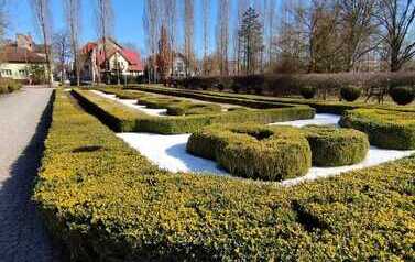 IMG-20260325-WA0016