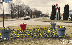 30725-vlcsnap-2026-04-02-10h13m54s097