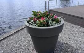 31587-IMG_7644.jpeg