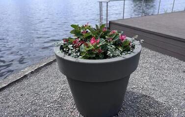 31587-IMG_7644.jpeg