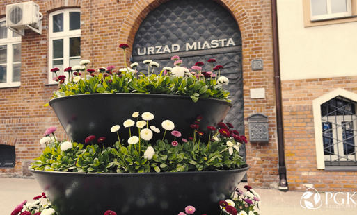 Zdjęcie do Wiosenne nasadzenia w mieście