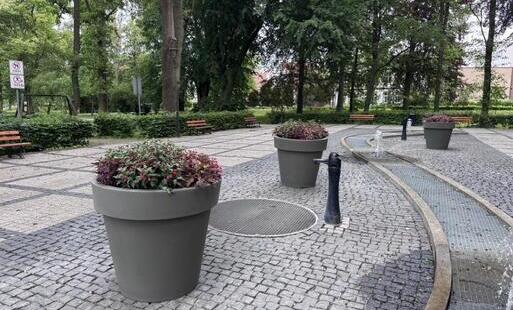 Zdjęcie do Nowe donice w parku miejskim