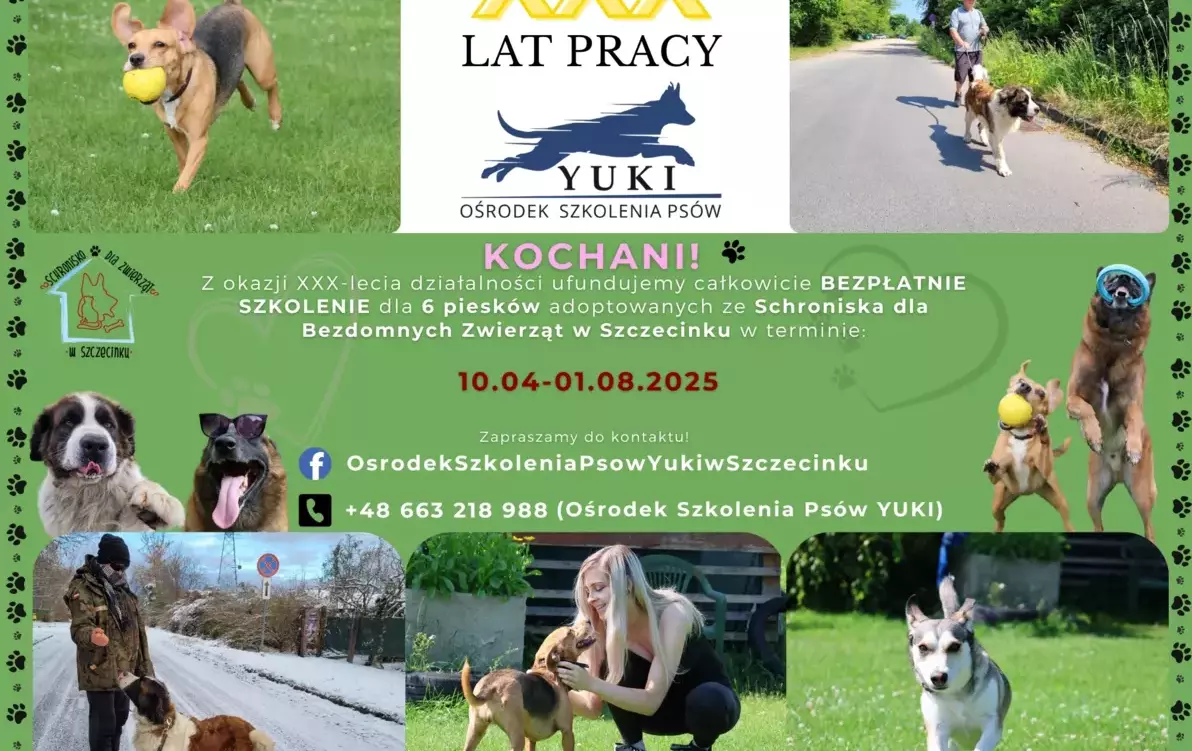 Zdjęcie do Jubileusz 30 lecia pracy Ośrodka Szkolenia Ps&oacute;w Yuki w Szczecinku - Szkolenie dla ps&oacute;w i ich właściceli